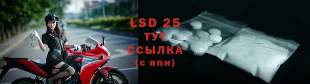 винт Алзамай