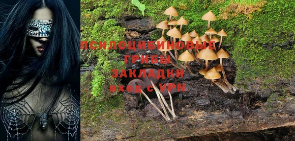 спиды Алексеевка