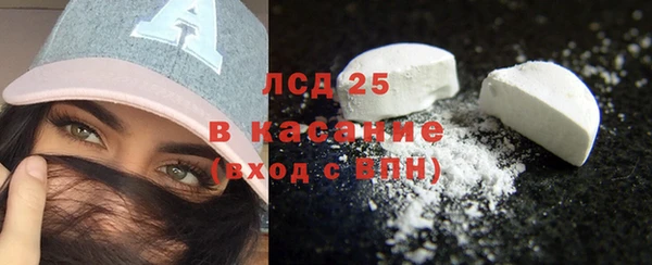 винт Алзамай