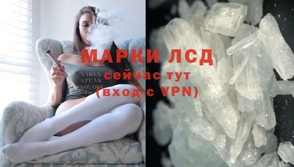 винт Алзамай