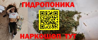 jwh Шелехов