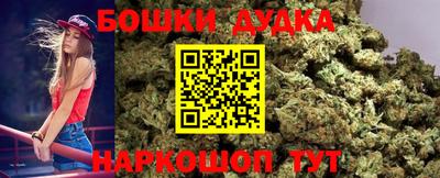 прущие крисы Шахты