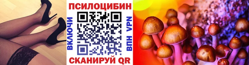 где продают наркотики  MEGA ТОР  Псилоцибиновые грибы мицелий  Анжеро-Судженск 